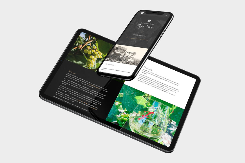 création site internet à reims